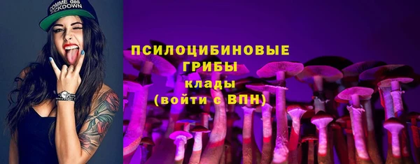 дурь Богородск