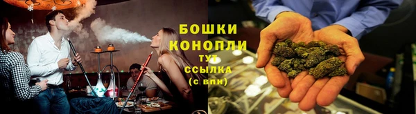 дмт Богородицк