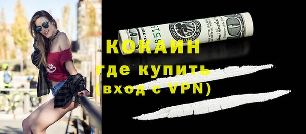 дмт Богородицк