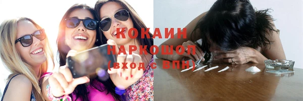 дмт Богородицк