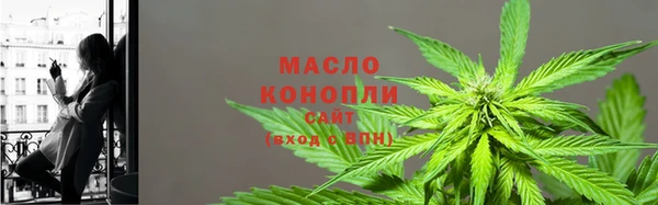 хмурый Бородино