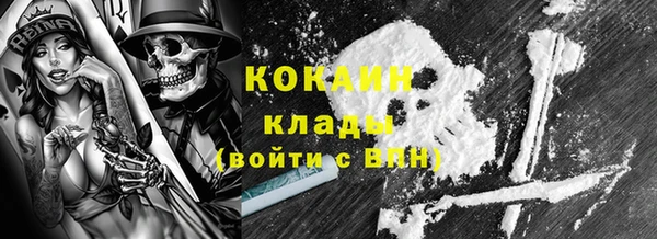 хмурый Бородино