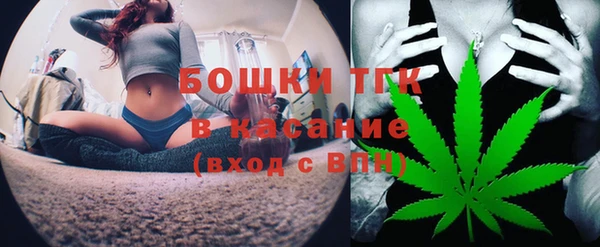 дмт Богородицк