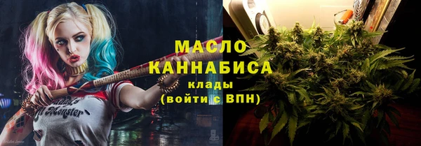 дмт Богородицк