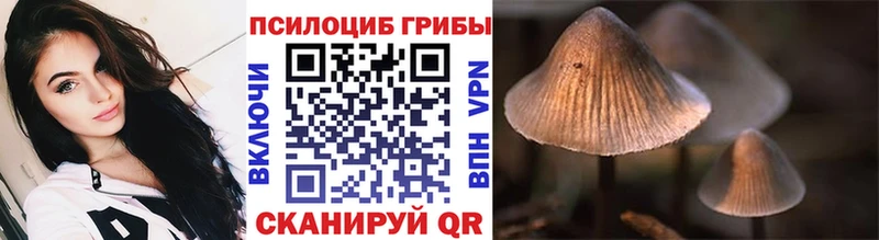 ссылка на мегу вход  Берёзовка  Псилоцибиновые грибы Magic Shrooms 